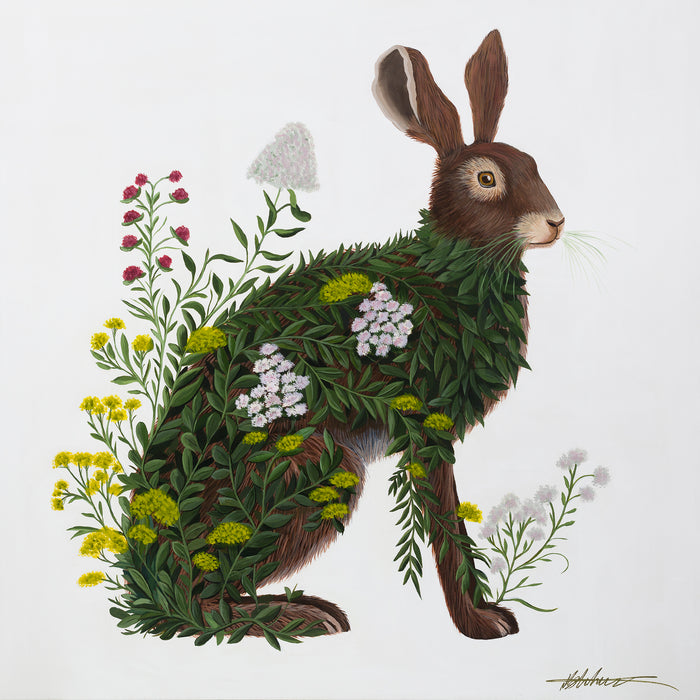 *Original Sold* Lepus Flos Ferox | Original Acrylic Painting on Canvas | Kelly Stevens-McLaughlan