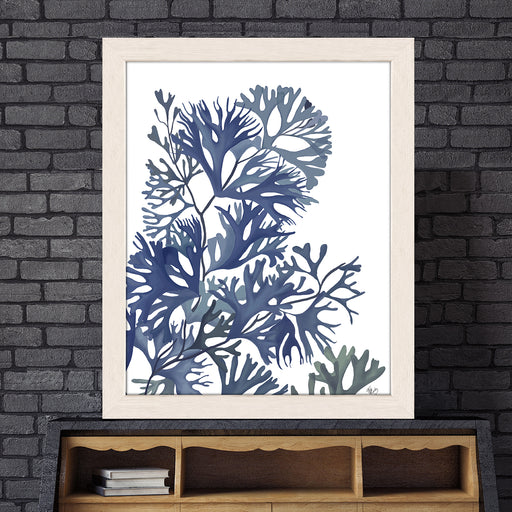 Coastal Seaweed IX Framed Art Print - Black