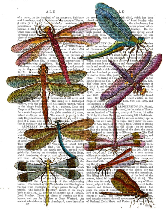 Dragonfly Print 3, Book Print, Art Print, Wall Art