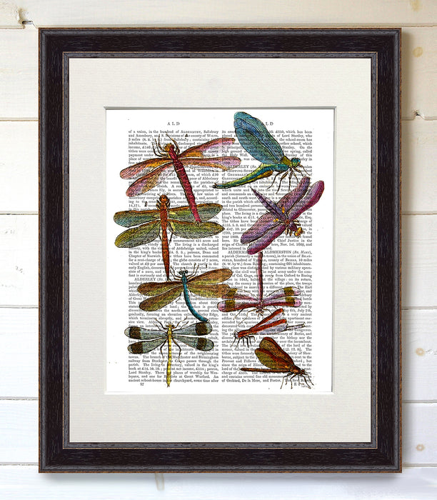 Dragonfly Print 3, Book Print, Art Print, Wall Art