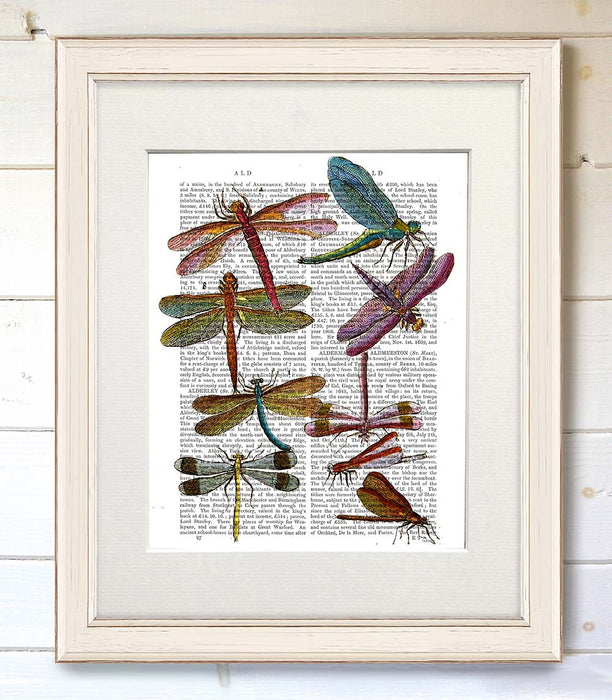 Dragonfly Print 3, Book Print, Art Print, Wall Art