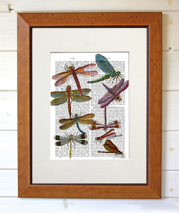 Dragonfly Print 3, Book Print, Art Print, Wall Art