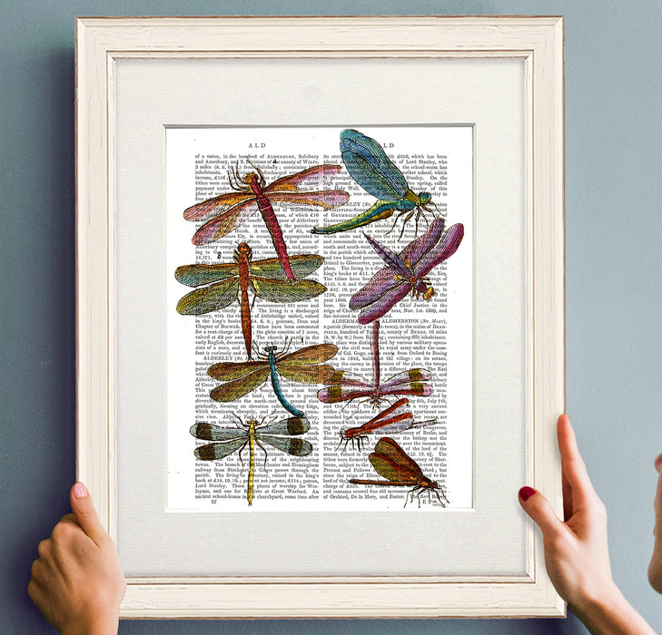 Dragonfly Print 3, Book Print, Art Print, Wall Art