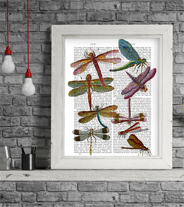 Dragonfly Print 3, Book Print, Art Print, Wall Art