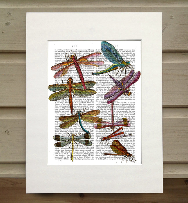 Dragonfly Print 3, Book Print, Art Print, Wall Art