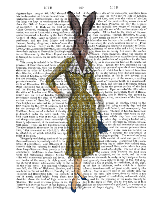 Rabbit in Mustard Dress, Book Print, Art Print, Wall Art