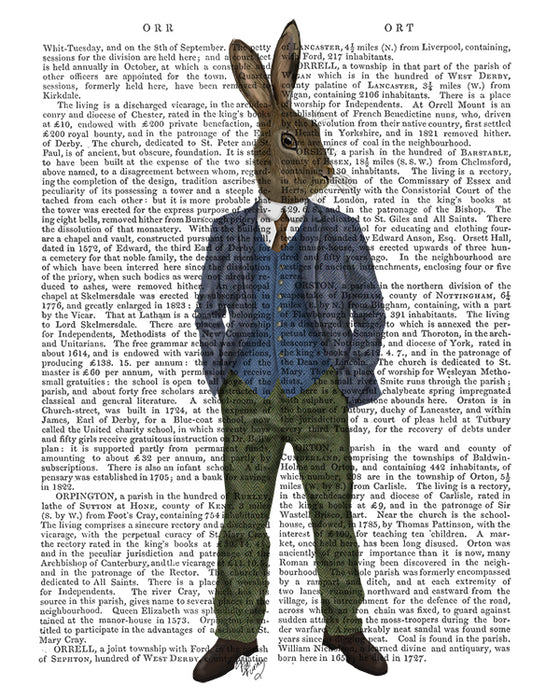 Rabbit in Blue Waistcoat, Book Print, Art Print, Wall Art