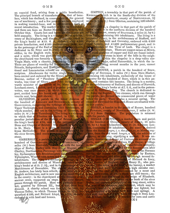 Fox Lady Portrait, Book Print, Art Print, Wall Art