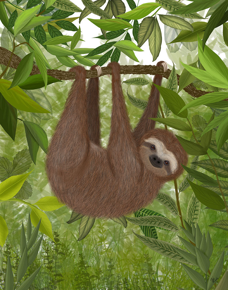 sloths hanging