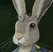 Ophelia Dolton Hare Portrait Limited Edition, Fine Art Print | Ltd Ed Oxford Framed 16x20inch