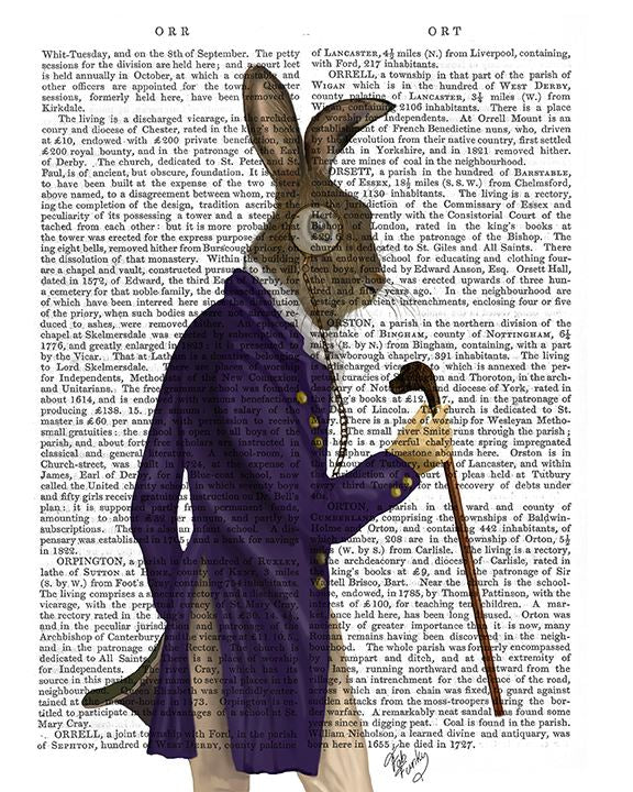 Hare In Purple Coat, Antiquarian Book Prints, Art Print, Wall Art ...