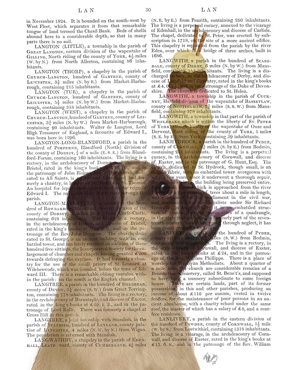 Pug ice clearance cream