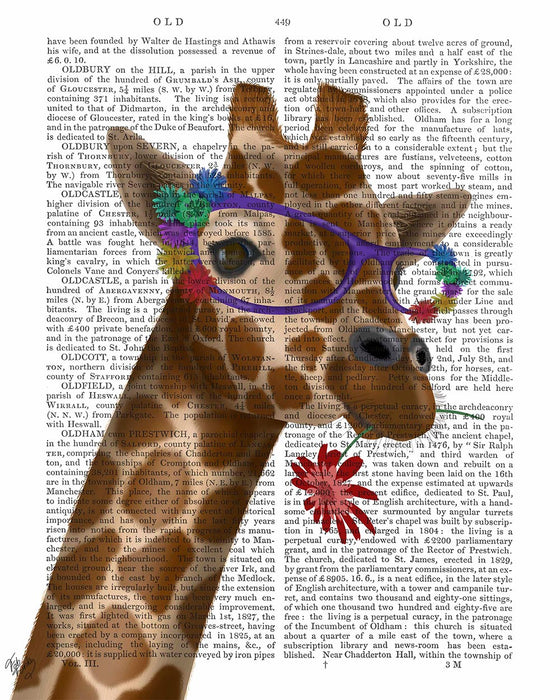 giraffe wearing glasses