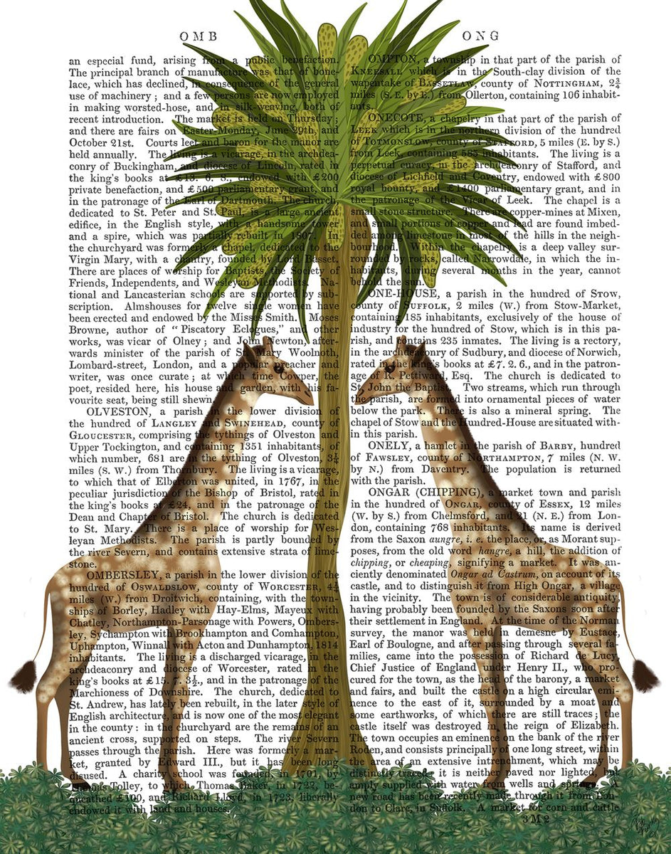 Giraffe Twins, Animalia Antiquarian Book Prints, Art Print, Wall Art —  FabFunky