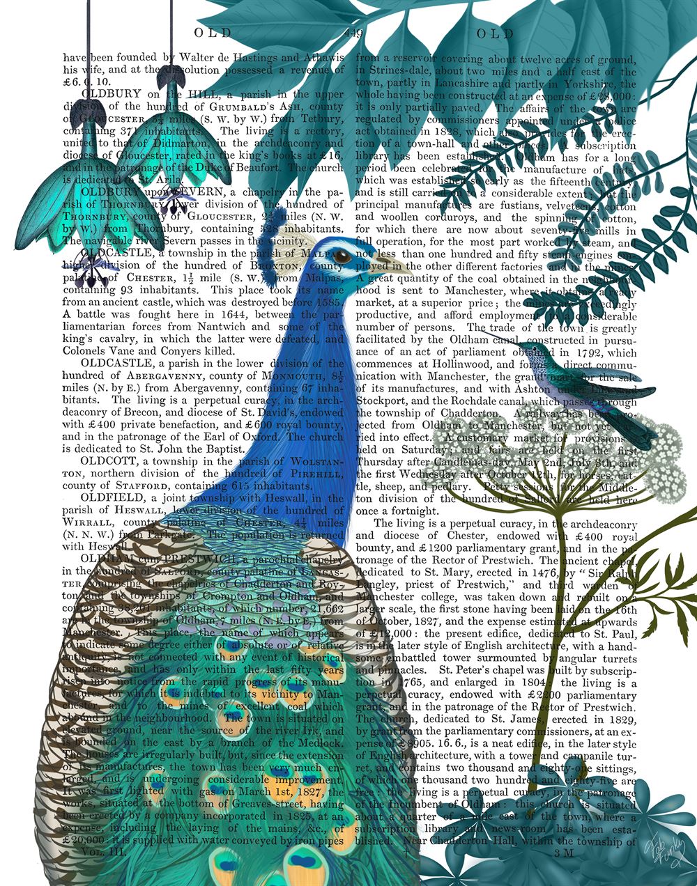 Beautiful Peacocks on Real Antique Dictionary Book Pages, Wall