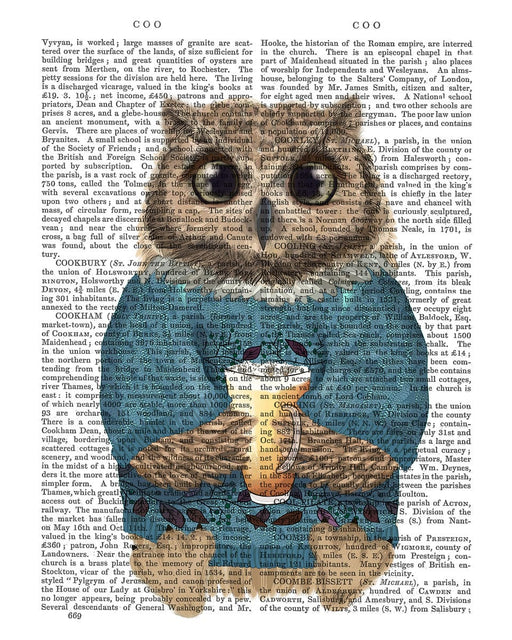 Reading Owl Cross Stitch Pattern, Book Cross Stitch Pattern