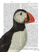 FabFunky Puffin Portrait 2