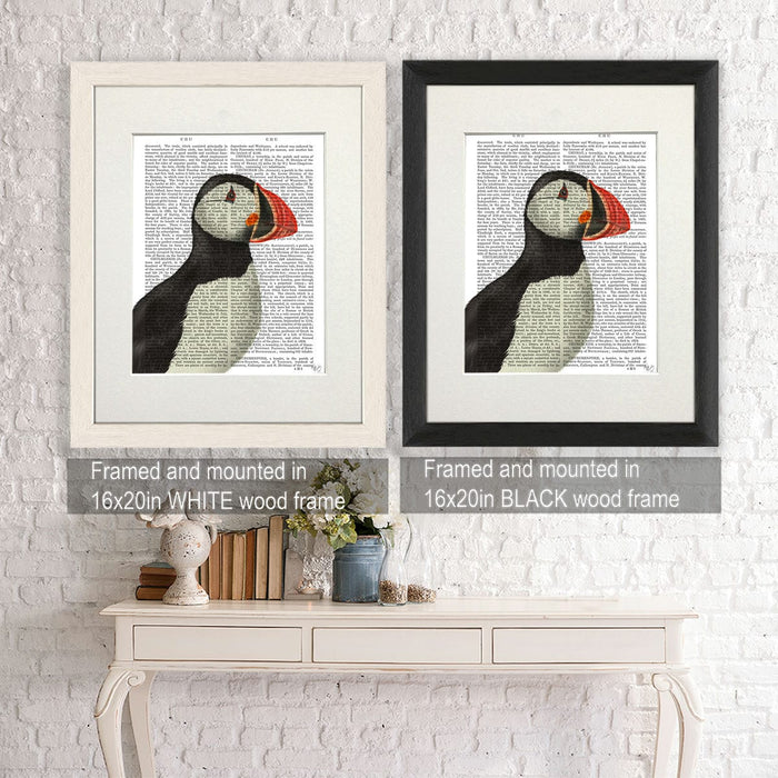 FabFunky Puffin Portrait 2